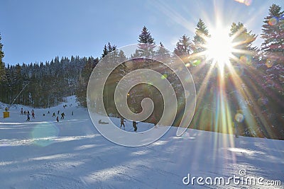 Group of young children learning to practice skiing Stock Photo