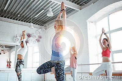 Group of young slim woman practice yoga exercise indoor class. People doing fitness together Stock Photo