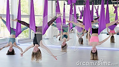 Group of Young Women Practice in Aero Stretching Swing. Aerial Flying Yoga Exercises Practice in Purple Hammock in Stock Footage - Video girl, 224285734