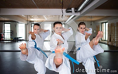 Group of young women practising karate indoors in gym. Stock Photo