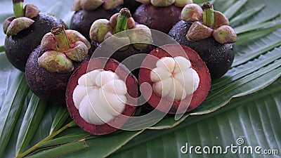 Groupe de mangostana thaïlandais tropical exotique frais de Garcinia de mangoustans de fruit tournant sur la feuille de banane banque de vidéos Groupe de mangostana thaïlandais tropical exotique frais de Garcinia de mangoustans de fruit tournant sur la feuille de banane banque de vidéos
