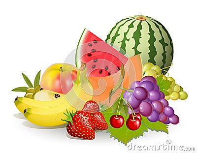 Groups of fruits Vector Illustration