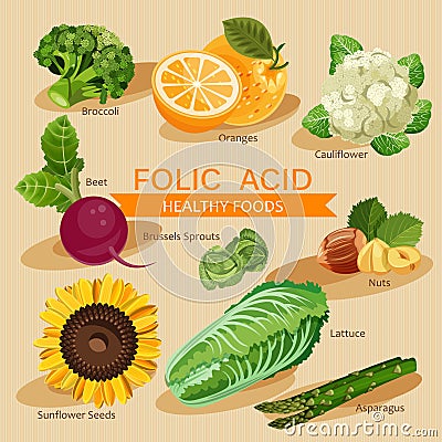 Groups of healthy fruit, vegetables, meat, fish and dairy products Vector Illustration