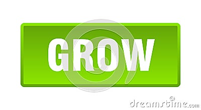 grow button. grow square isolated push button. Vector Illustration