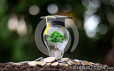 Grow green trees on money in energy-saving light bulbs, including graduation hats. Stock Photo