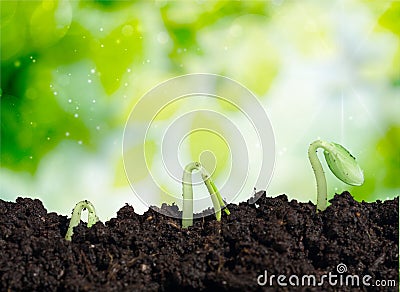 Grow Stock Photo