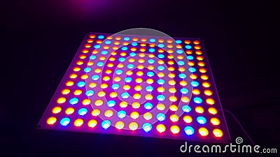 grow lights Stock Photo