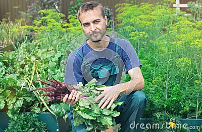 Grow it local. Farmer holding fresh harvested beetroots in vegetable garden. Bio organic farming gardening. Homegrown sustainable Stock Photo