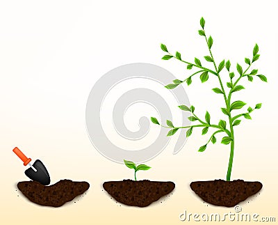 Grow plants vector Vector Illustration