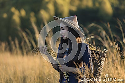 Grow rice Stock Photo