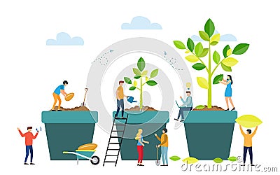 Grow stages of Tree from Seed to Large Plant Vector Illustration