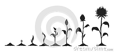 Grow Up Flower Vector Silhouettes Collections Vector Illustration