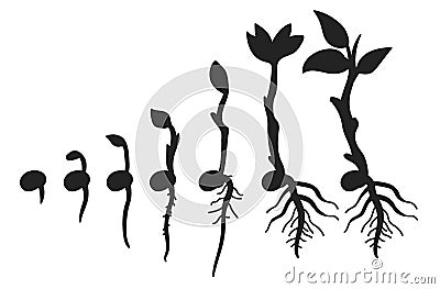 Grow Up Tree Vector Silhouettes Collections Vector Illustration