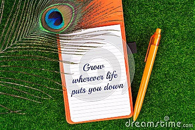 Grow wherever life puts you down Stock Photo