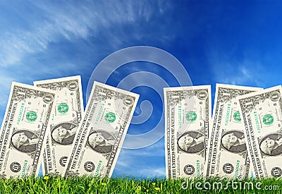 Growing money Stock Photo