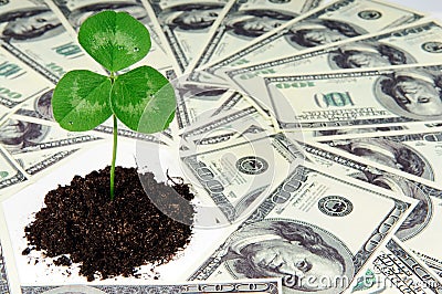 Growing money Stock Photo