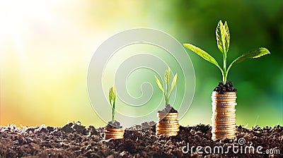 Growing Money Stock Photo