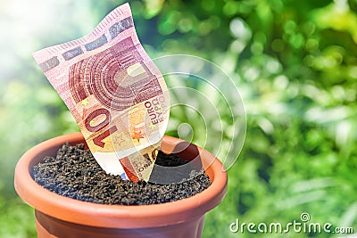 Growing money in flowerpots Stock Photo