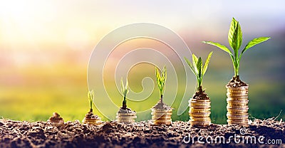 Growing Money - Plant On Coins Stock Photo