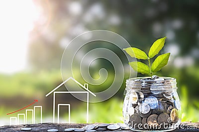 Growing Money and plant, Saving money concept, concept of financial savings to buy a house Stock Photo