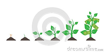 Growing money tree. isolated on white background. Vector illustration. Eps. Vector Illustration