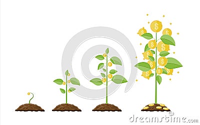 Growing money tree. Stages of growing. Vector Illustration