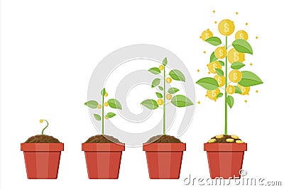 Growing money tree. Stages of growing. Vector Illustration