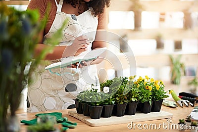 These are growing nicely. an unrecognizable young female botanist making notes while working in her florist. Stock Photo