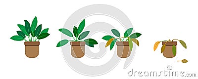 Growing phase flowerpot in flat style. Gardening concept. Vector illustration. Stock image. Vector Illustration