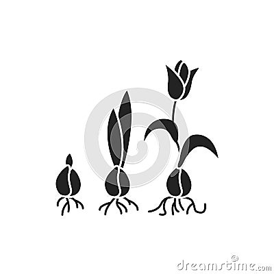 Growing plant stages black glyph icon. The seed, germination, growth, reproduction, pollination, and seed spreading. Pictogram for Stock Photo