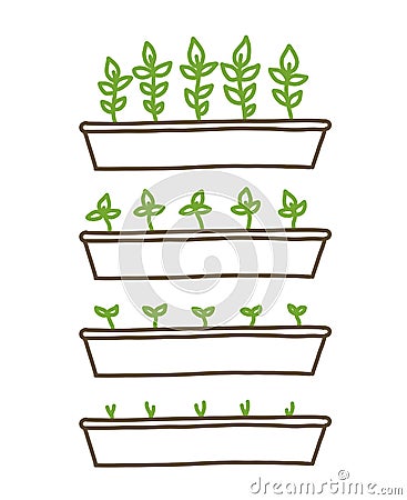 Growing seedlings stages. Plant shoots tray. Seedlings agriculture. Development stage animation progression. Ripening Vector Illustration