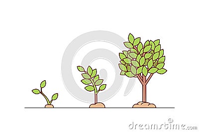 Growing tree seed with green leafs Vector Illustration