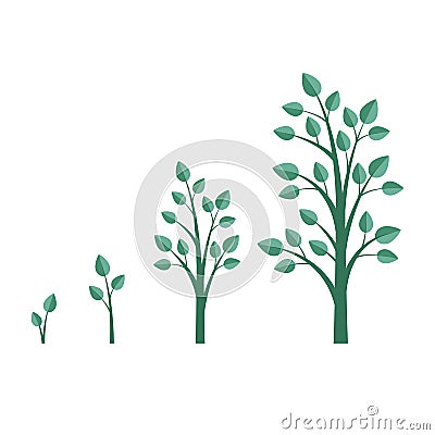 Growing tree. Tree growth stages. Flat style, vector illustration. Vector Illustration