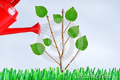 Growing trees, growing young trees, taking care of the environment, preventing global warming. Stock Photo