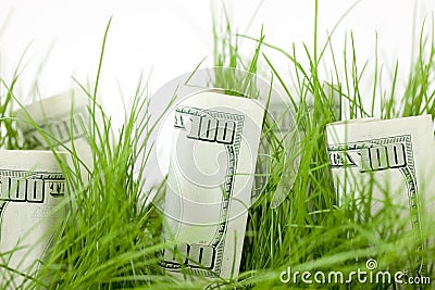 Growing your investment Stock Photo