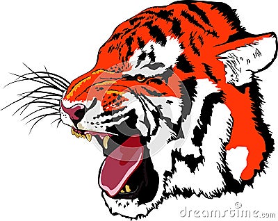 Growling tiger Vector Illustration