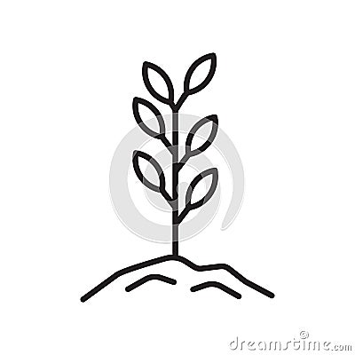 Grows icon vector isolated on white background, Grows sign , sign and symbols in thin linear outline style Vector Illustration