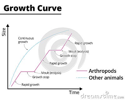 Growth curve diagram of arthropods and other animals. Vector Illustration