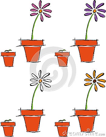 Growth of a Flower Vector Illustration