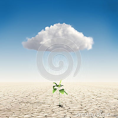 Growth investing and financial business Stock Photo