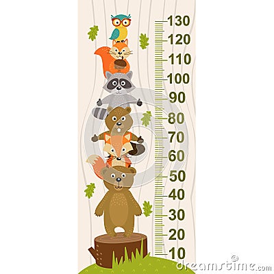 Growth measure with forest animal Vector Illustration