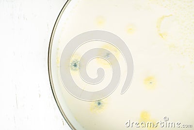 Growth of mold on yogurt food surface exceeded expiry date Stock Photo