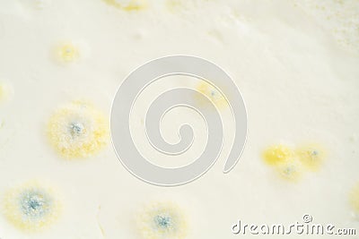 Growth of mold on yogurt or food surface exceeded expiry date Stock Photo