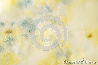 Growth of mold on yogurt surface Stock Photo