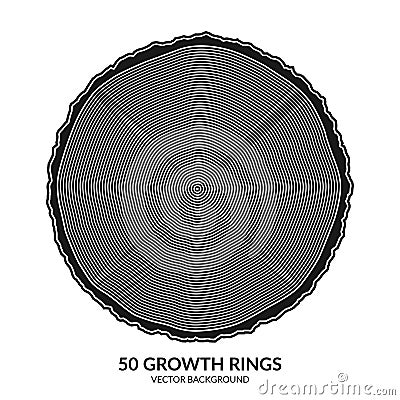 50 growth rings. Tree rings and saw cut tree trunk Vector Illustration