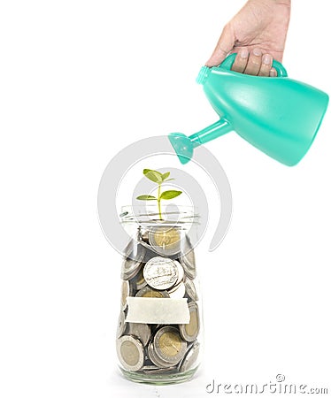 Growth of your money concept Stock Photo