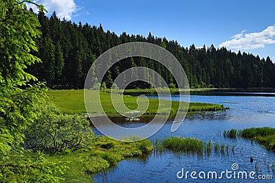 GroÃŸer Arbersee is a lake in Bayerischer Wald, Bavaria, Germany Stock Photo