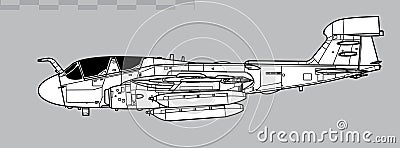 Grumman EA-6B Prowler. Vector drawing of carrier based electronic warfare aircraft. Vector Illustration
