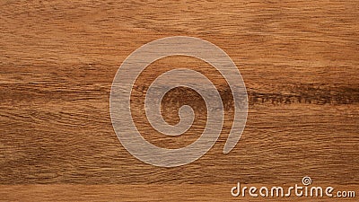 Grunde wood pattern texture Stock Photo