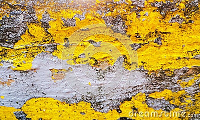 Yellow and grey texture of a grunge background. Great texture. Useful as backdrop. Stock Photo